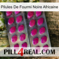 African Black Ant Pills 10
